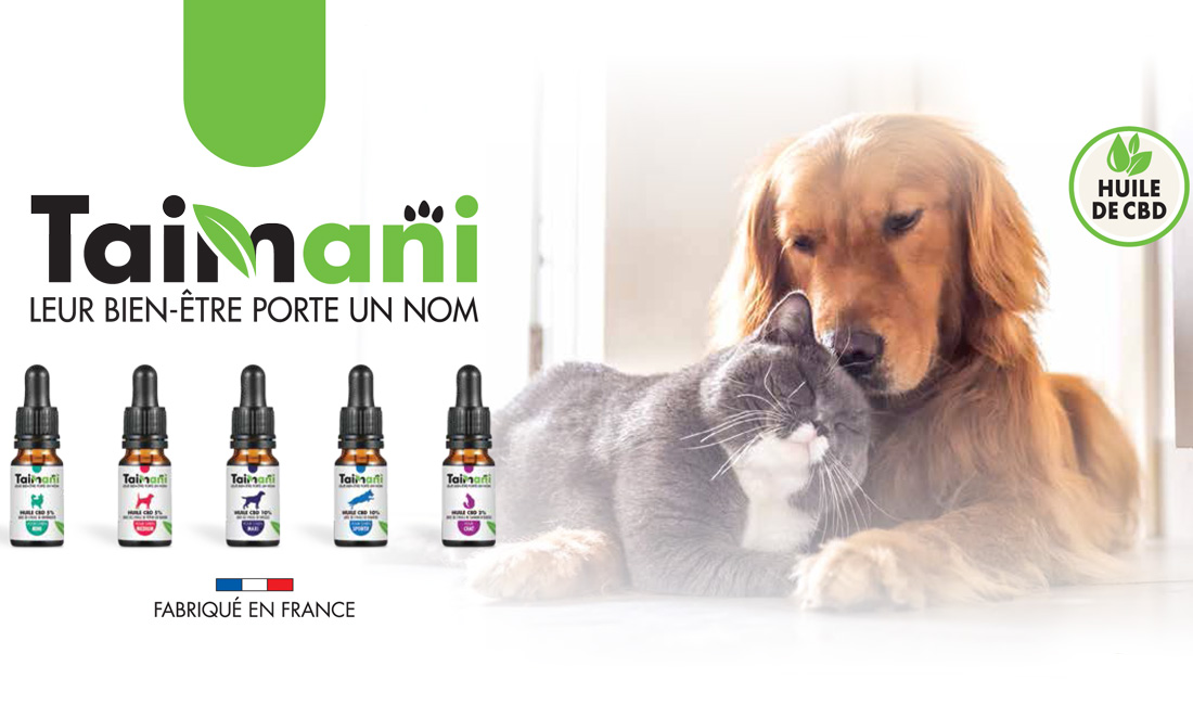 Les bienfaits du CBD Taimani 100% naturel pour chiens et chats