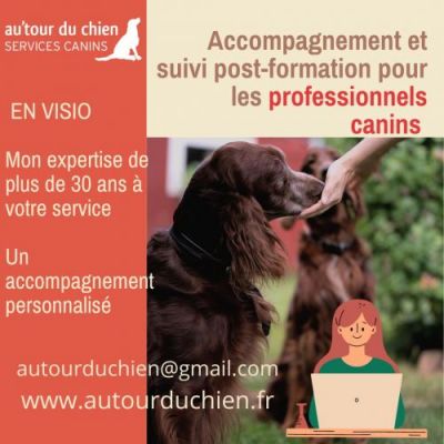 TOUTE L'ANNEE |  Accompagnement et suivi post-formation pour les professionnels canins