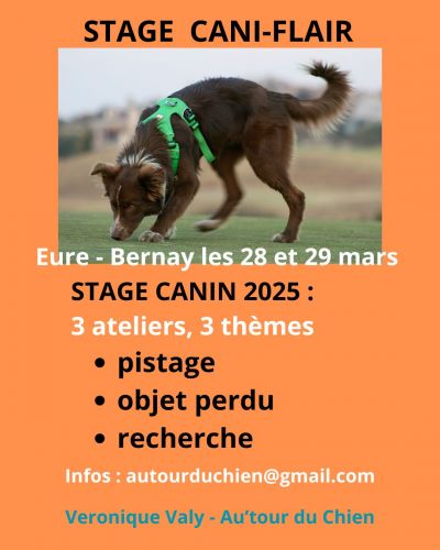 Nouveau stage FLAIR de printemps | 3 thèmes sur 2 jours | secteur Bernay les 28 et 29 mars 2025