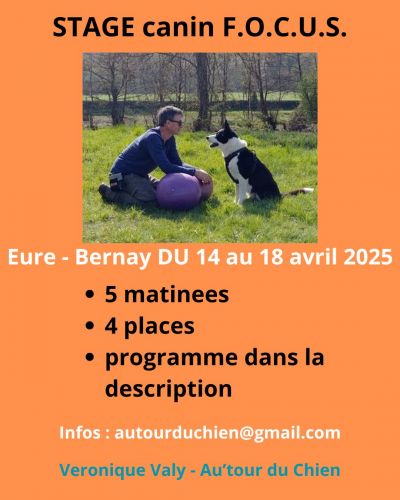 [ STAGE canin F.O.C.U.S. avril 2025 ] - Focaliser - Observer - Connecter - Unifier - Sensibiliser- du 14 au 18 avril 2025