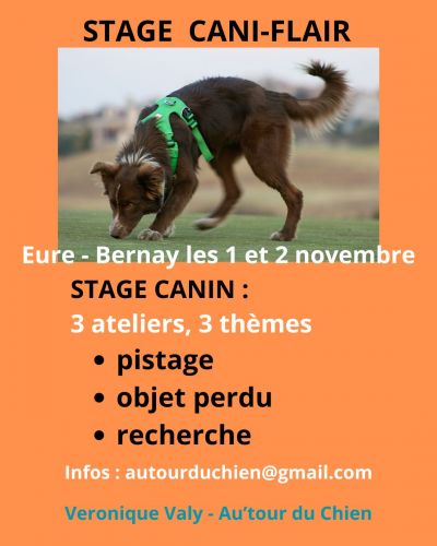 Nouveau stage FLAIR d'automne | 3 thèmes sur 2 jours | secteur Bernay les 01 et 02 novembre