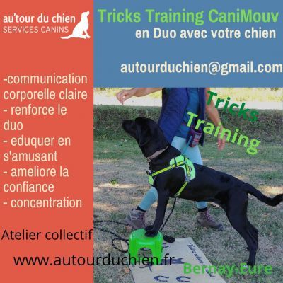 Atelier collectif Tricks Training Canimouv en Duo avec votre chien : eduquer en s'amusant - samedi 23 novembre