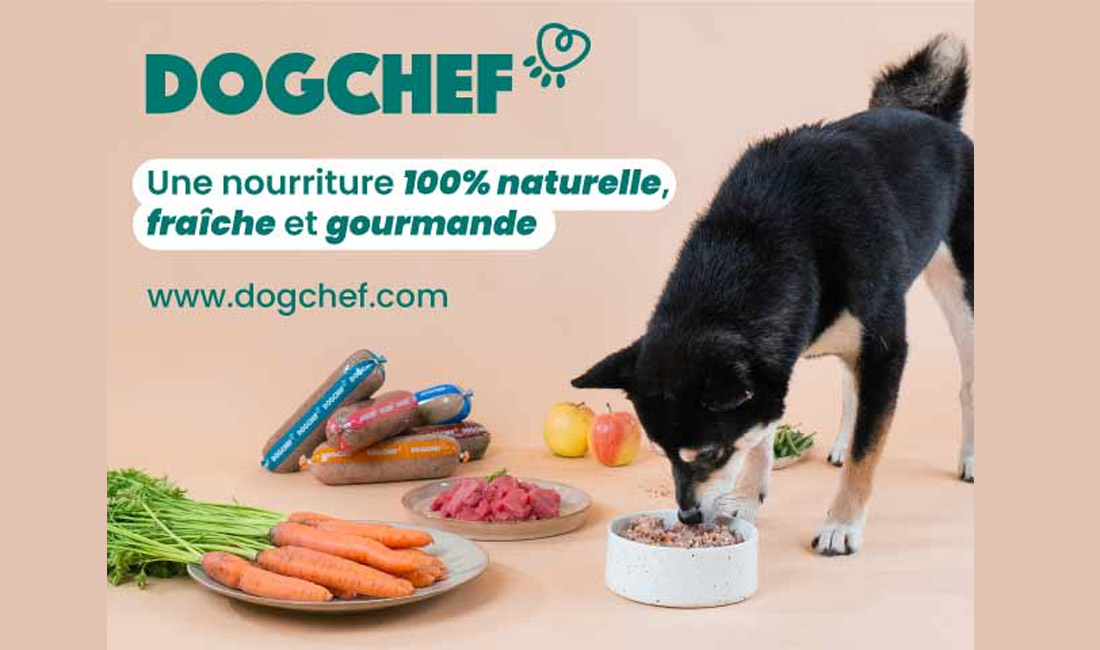 Dog Chef, nourriture pour chien 100% naturelle, fraîche et gourmande